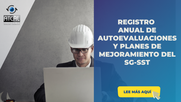 Registro Anual De Autoevaluaciones Y Planes De Mejoramiento Del Sg Sst