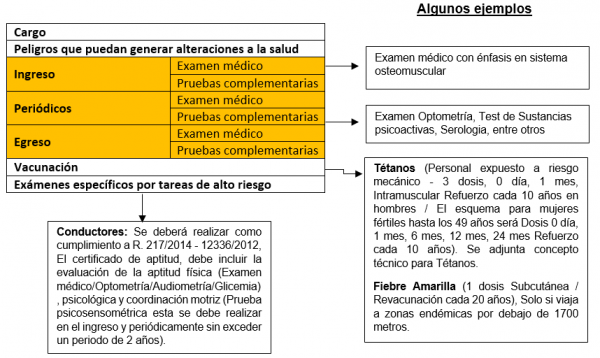 PROFESIOGRAMA 4 ASPECTOS CLAVE QUE DEBES CONOCER IMPLEMENTANDO SGI