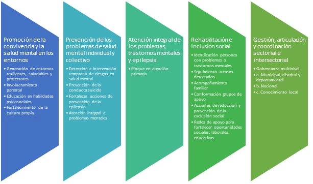 Resoluci N De Pol Tica Nacional De Salud Mental