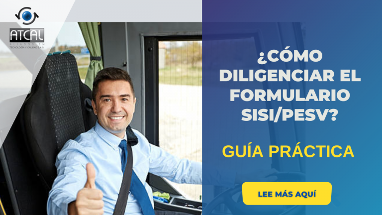 C Mo Diligenciar El Formulario Sisi Pesv Implementando Sgi