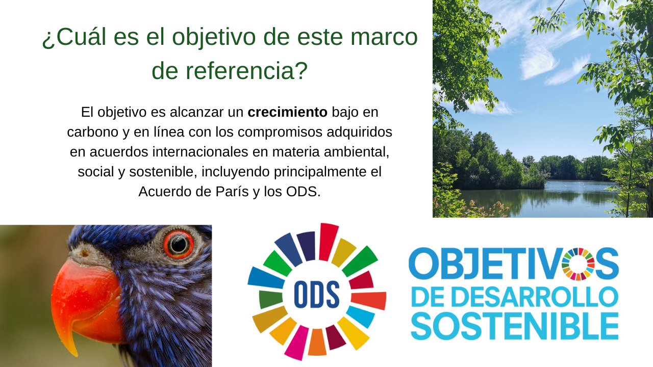 Resoluci N De Marco De Referencia De Bonos Verdes Sociales Y Sostenibles Soberanos