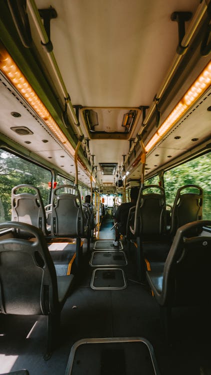 cinturón de seguridad transporte escolar